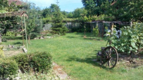 Vila Dedo Liben